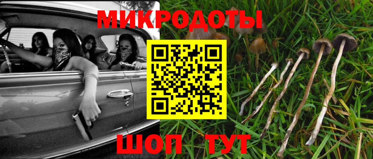 Псилоцибиновые грибы мицелий  Галлюциногенные грибы GOLDEN TEACHER  Холмск  Вход с VPN 